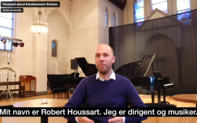 Video: 3 minutters introduktion til Schnee